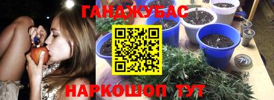 стафф Чебоксары