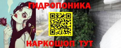 молекула духа Усть-Джегута