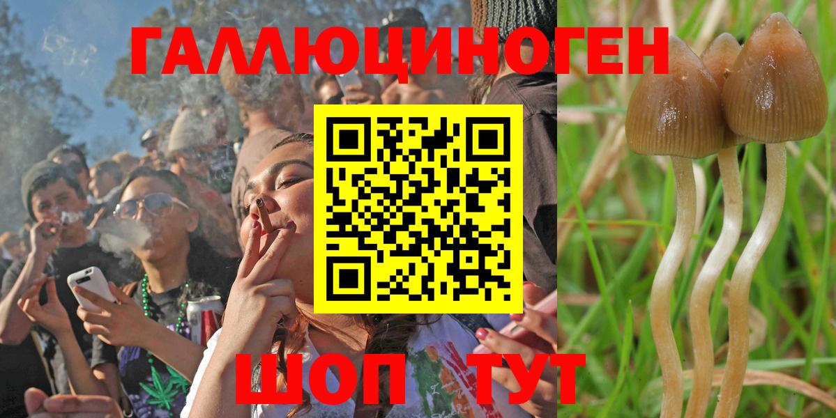 Галлюциногенные грибы мухоморы Холмск